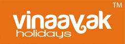 website logo
